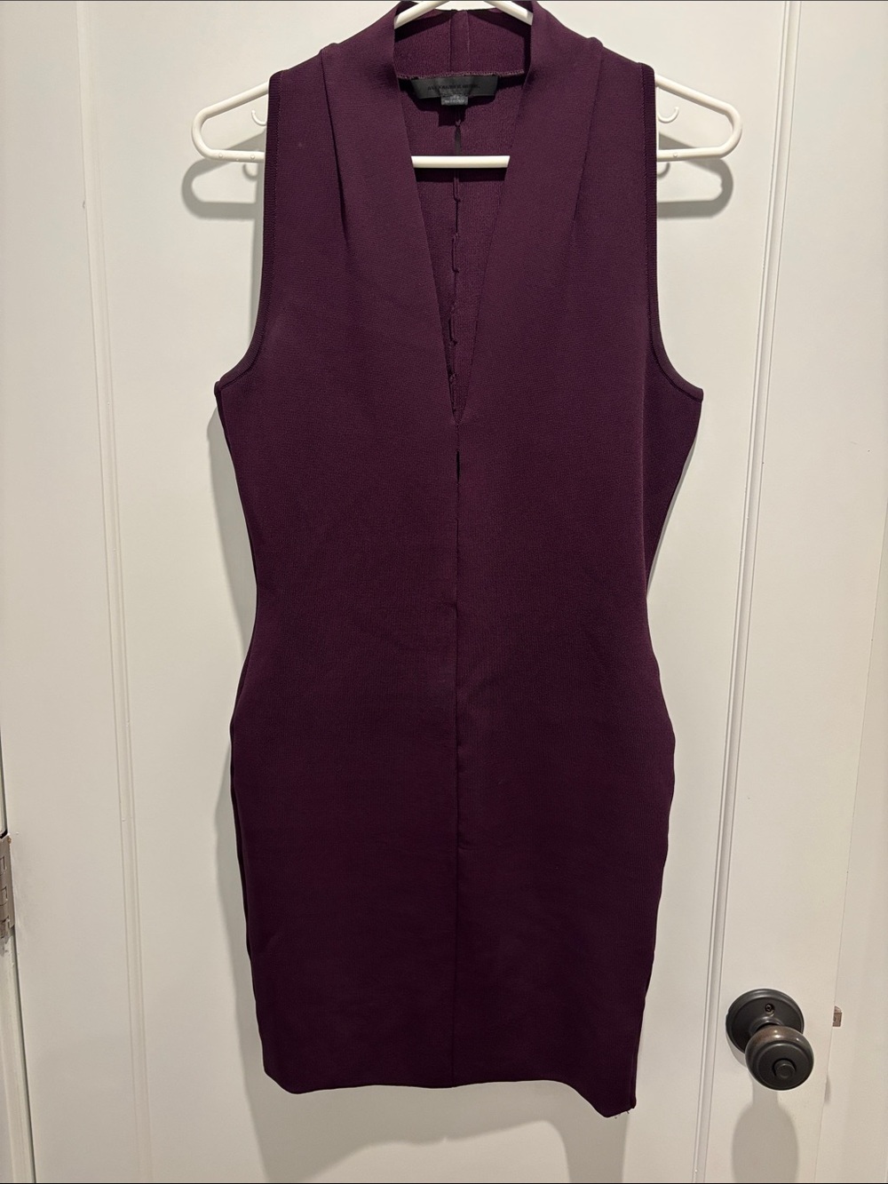 Alexander Wang Sleeveless V-Neck Mini Dress in Plum
